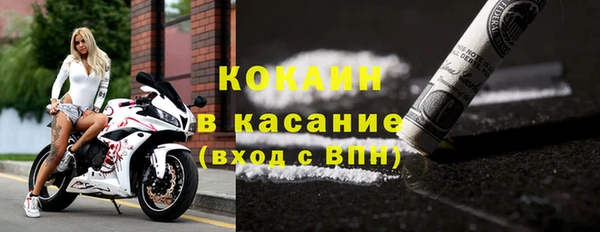 сатива Горно-Алтайск