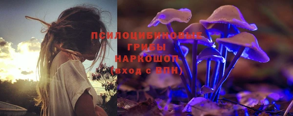 PSILOCYBIN Горняк