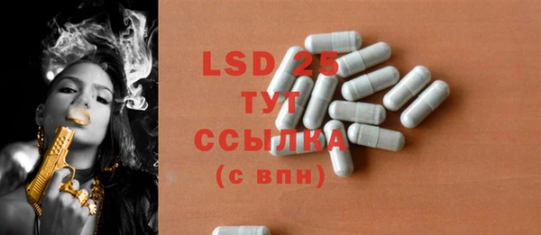PSILOCYBIN Горняк