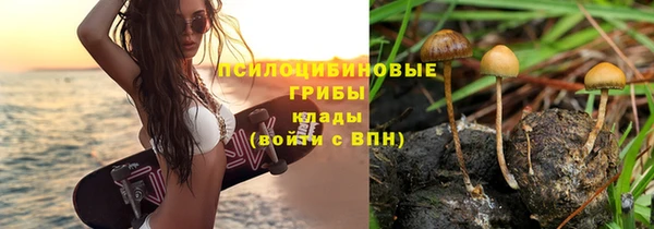 метадон Гусев