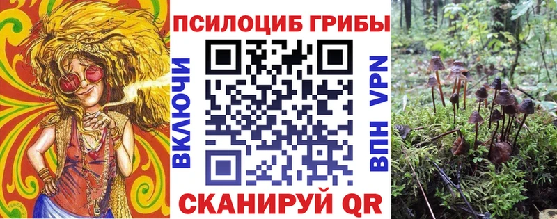 OMG ссылки  Оха  Псилоцибиновые грибы Psilocybe 